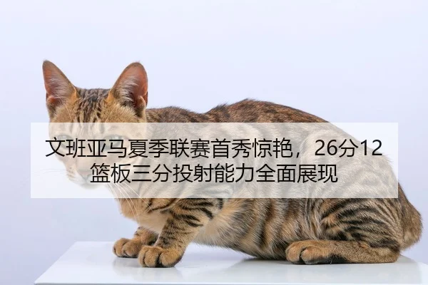 文班亚马夏季联赛首秀惊艳，26分12篮板三分投射能力全面展现
