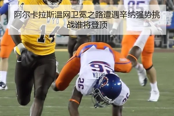 a-er-ka-la-si-wen-wang-wei-mian-zhi-lu-zao-yu-xin-na-qiang-shi-tiao-zhan-shui-jiang-deng-ding-2-244.jpg
