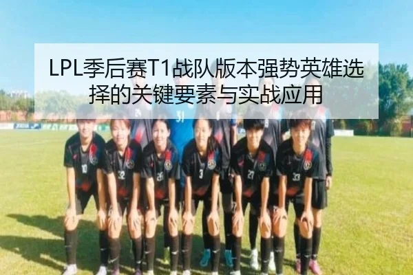 ji-hou-sai-zhan-dui-ban-ben-qiang-shi-ying-xiong-xuan-ze-de-guan-jian-yao-su-yu-shi-zhan-ying-yong-3-347.jpg