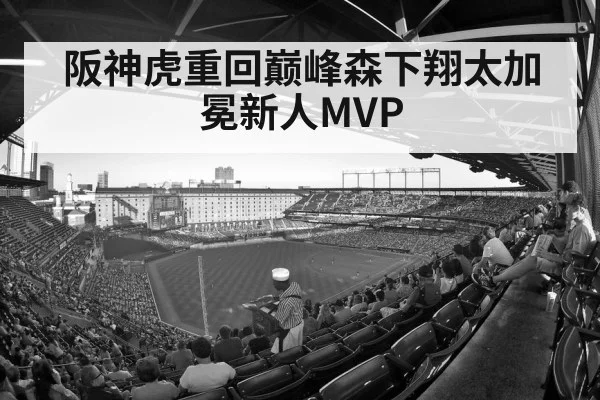 阪神虎重回巅峰森下翔太加冕新人MVP