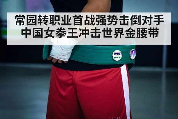 boxing championship belt